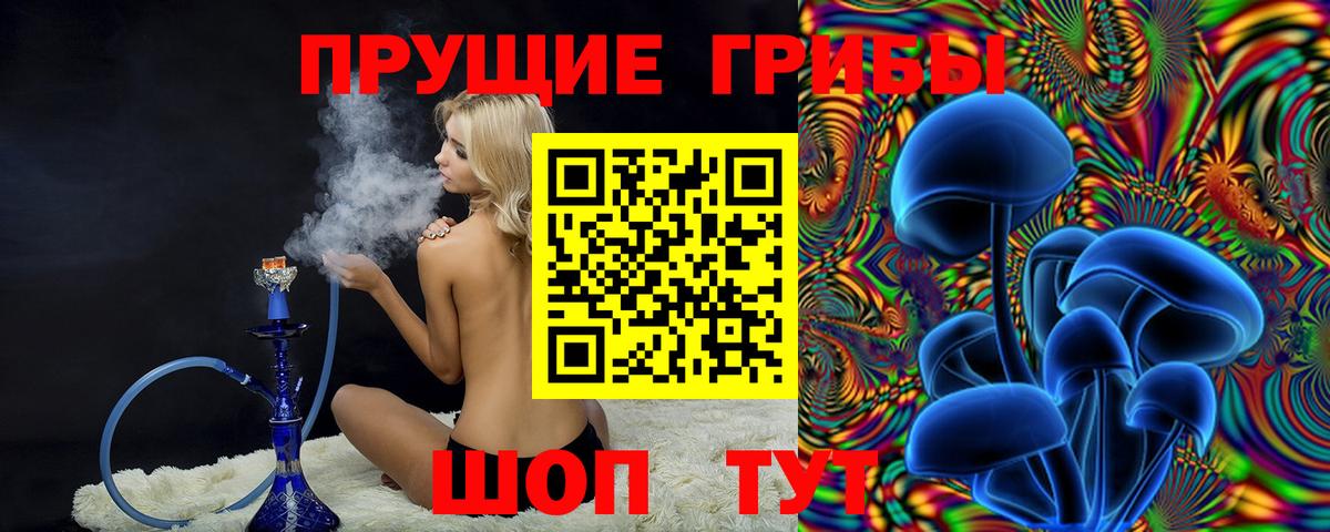 Галлюциногенные грибы Psilocybine cubensis Долгопрудный
